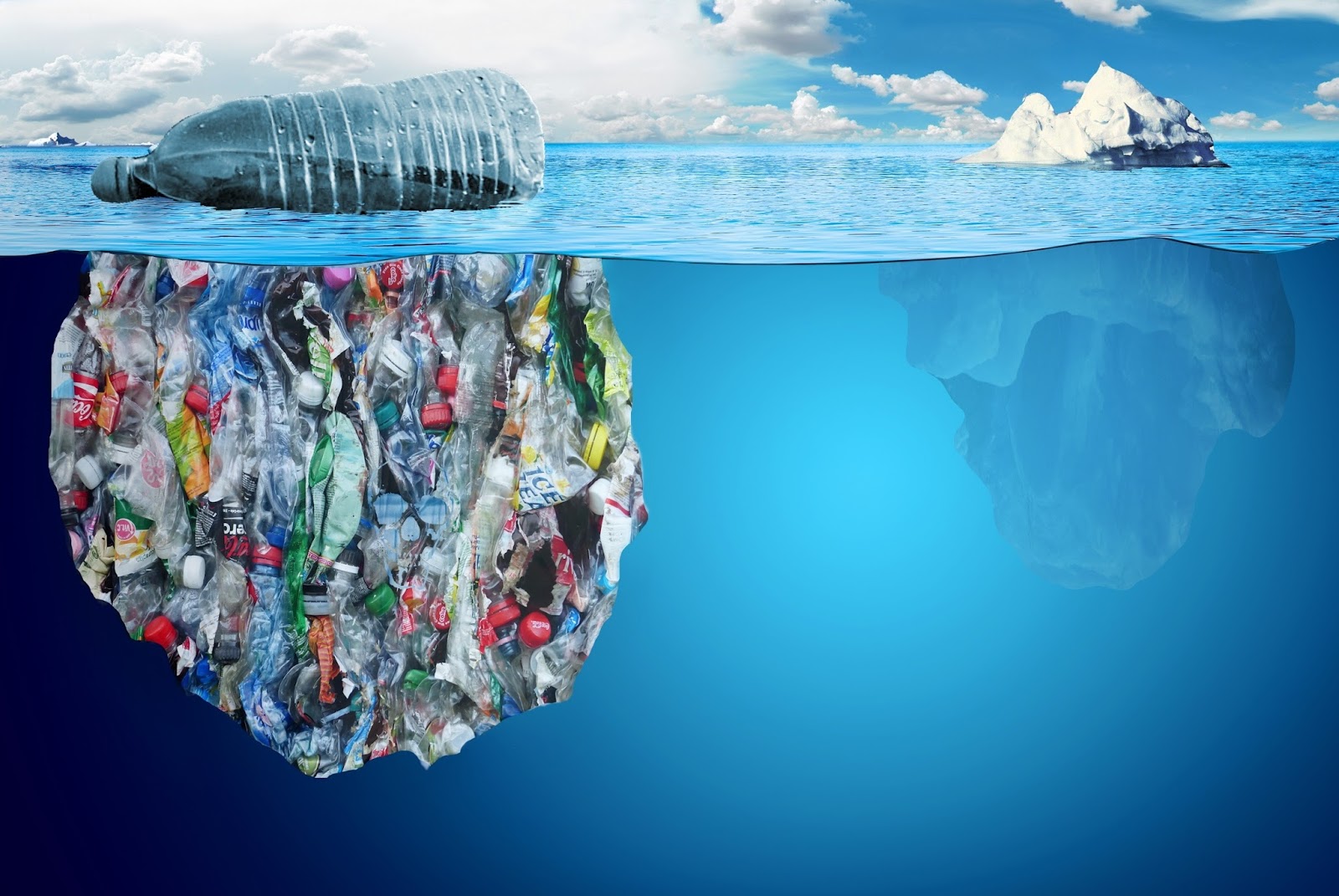 how-plastic-pollution-harms-marine-life-safety4sea