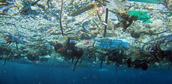 Top 10 garbage items collected from beach clean ups worldwide