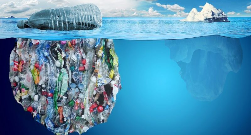 How plastic pollution harms marine life - SAFETY4SEA