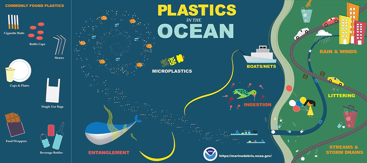 How Does Plastic Impact The Marine Environment