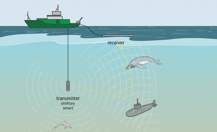 Underwater noise problems come on the surface - SAFETY4SEA