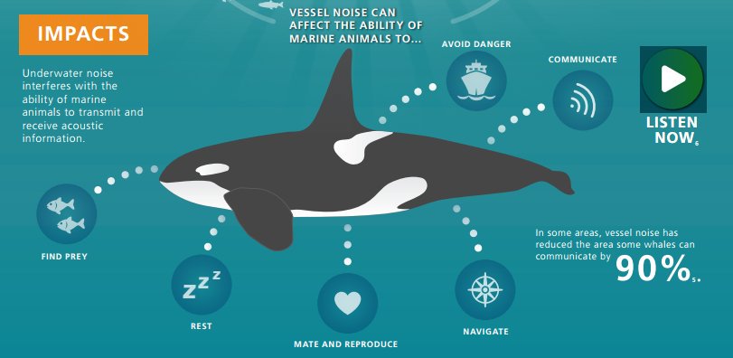 Underwater noise problems come on the surface - SAFETY4SEA