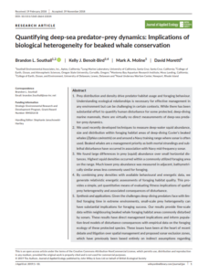 Study: Why beaked whales return to navy sonar range