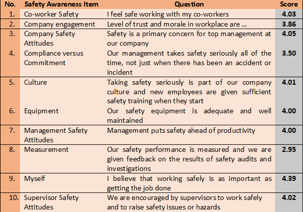 Safety Management: Learning about Safety Surveys