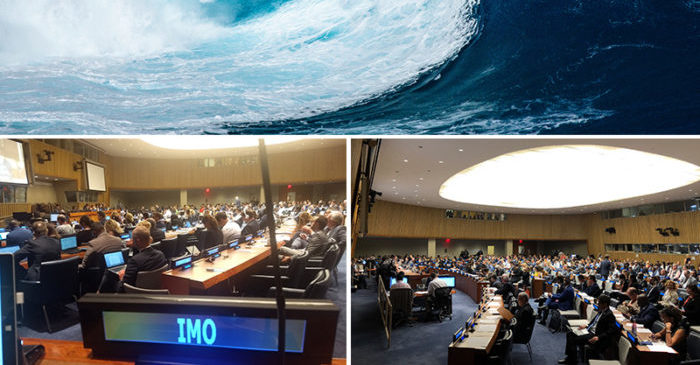 IMO's steps to create a marine biodiversity protection treaty - SAFETY4SEA