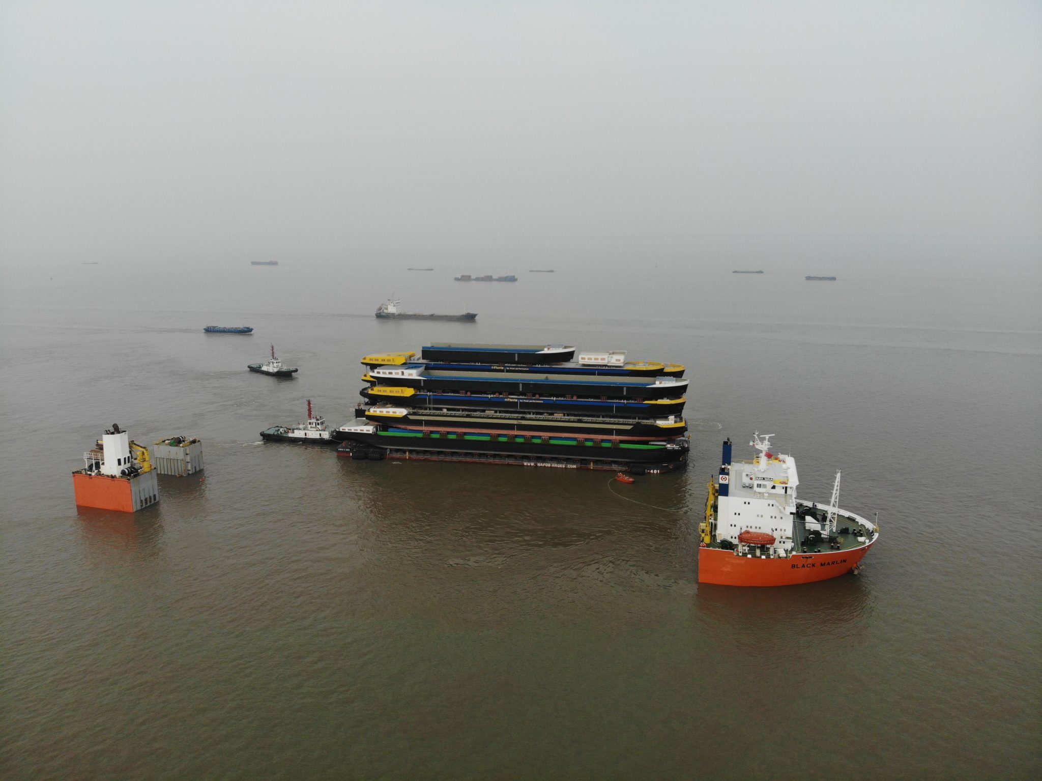 Port of Rotterdam expects Black Marlin, transmitting 18 hulls