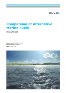 LNG the most viable alternative fuel, new report says