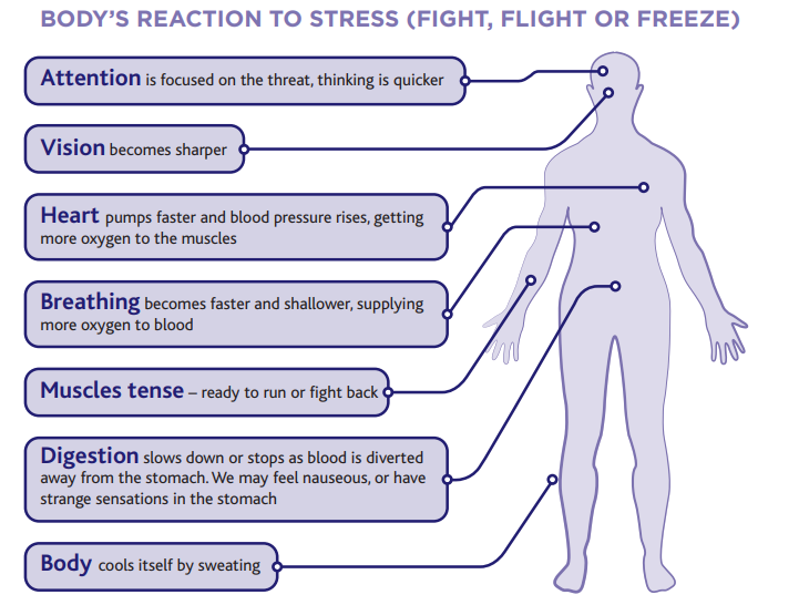 Feeling stressed onboard: Symptoms and key actions