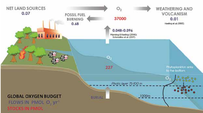 Marine life at risk because of ocean oxygen loss