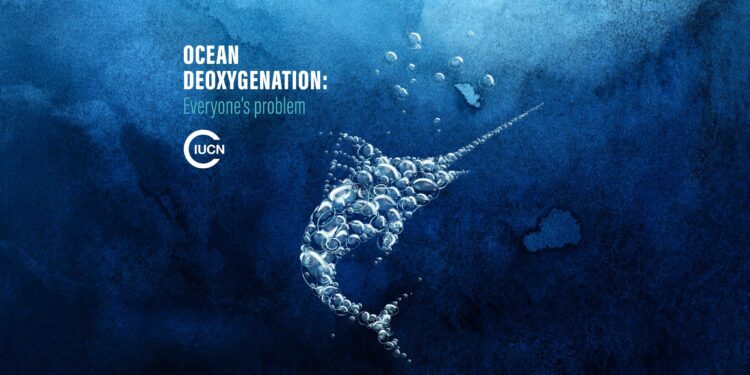 Marine life at risk because of ocean oxygen loss - SAFETY4SEA