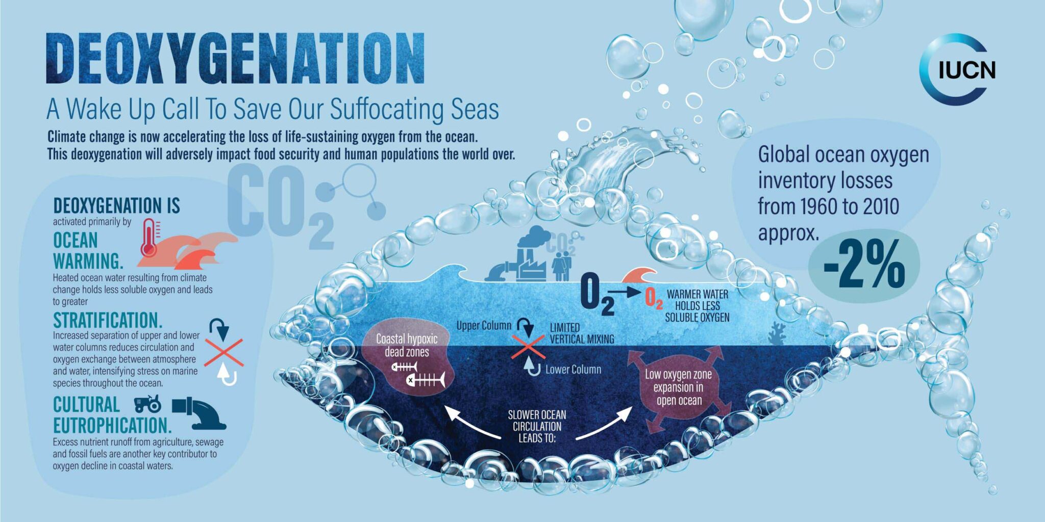 Уменьшение количества кислорода в воде. Международные воды. Кислород в воде. Кислородная вода. Уменьшение кислорода в Водах мирового океана.