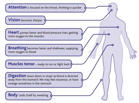 Understanding Fatigue: Don’t let stress run your life