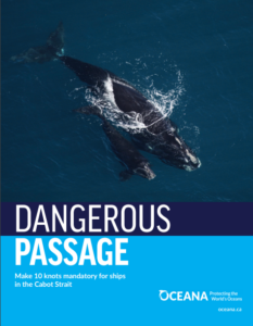 Innovative tool to protect North Atlantic Right Whales from high speed vessels