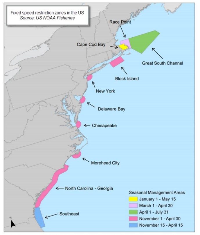 US, Canada: Measures to protect the North Atlantic right whales