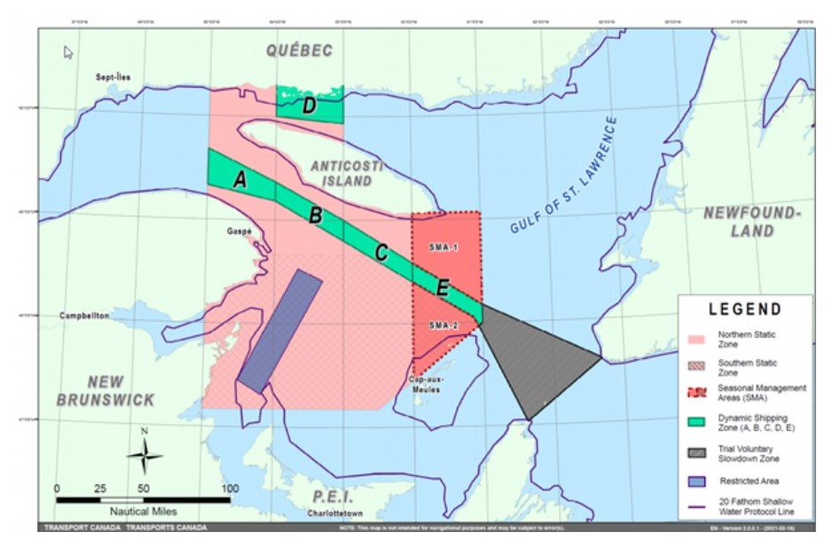 US, Canada: Measures to protect the North Atlantic right whales