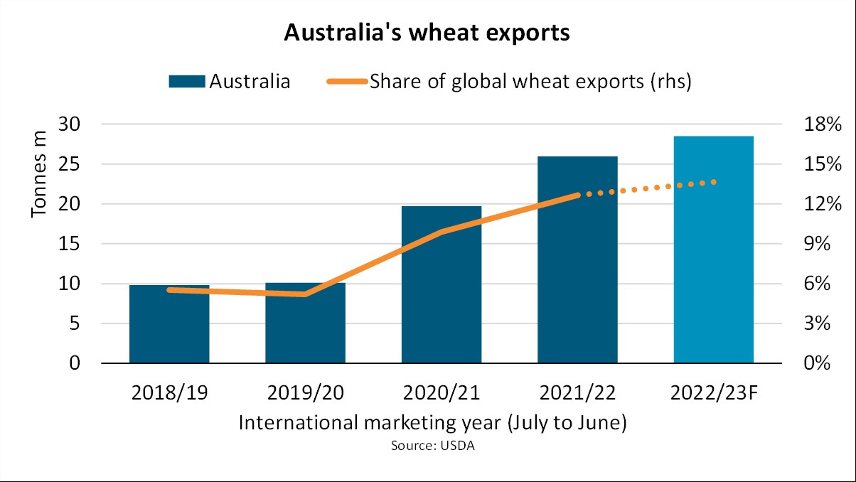 BIMCO: Australia on track for new harvest record and 9.8% jump in wheat exports