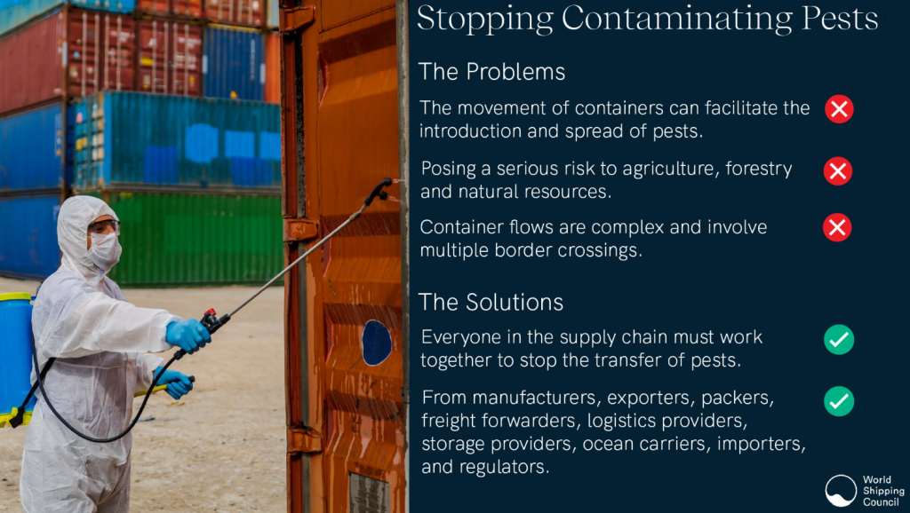 Watch: How the move of containers can cause spread of pests