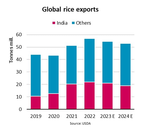 Bimco: Global Rice Exports Could Fall 4% Due To India’s Export 