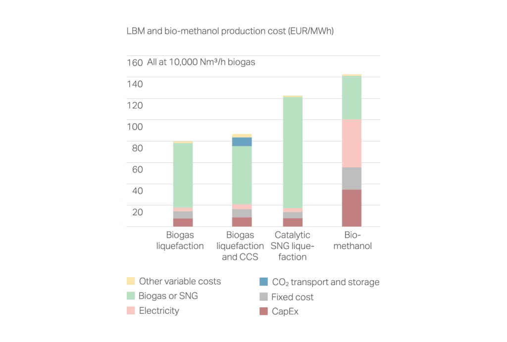 The potential of biogas as a source of biofuels for shipping