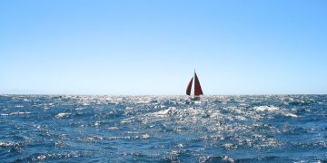 IWSA: Growth in wind-powered small vessels signals sustainable shift